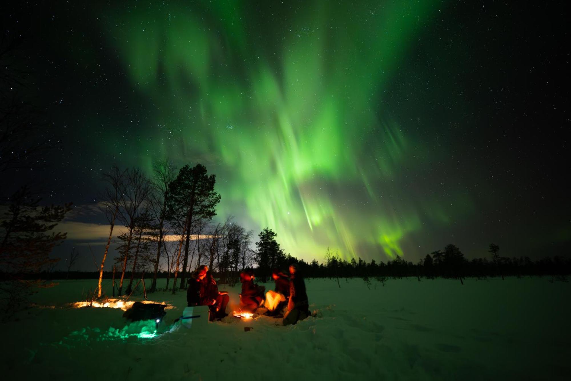 Arctic Guesthouse & Igloos Ranua Kültér fotó